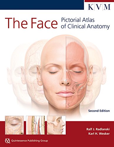 Cover of The Face: Pictorial Atlas of Clinical Anatomy