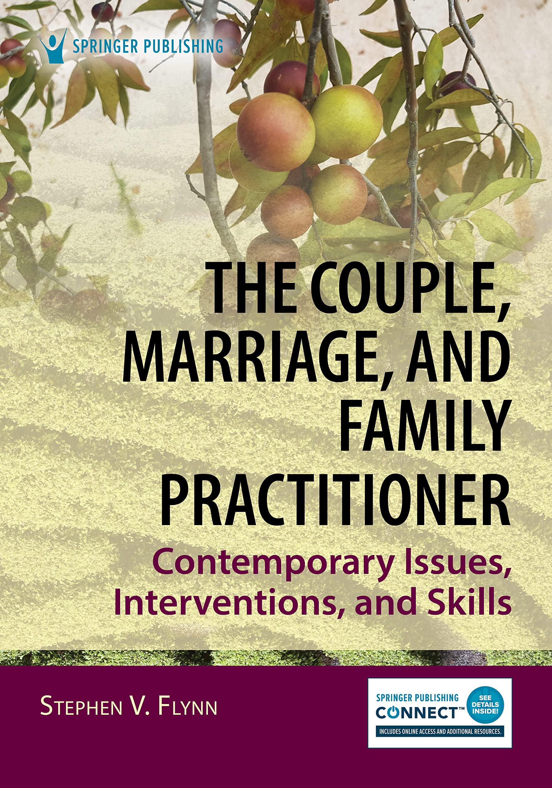 Cover of The Couple, Marriage, and Family Practitioner: Contemporary Issues, Interventions, and Skills (Volume 2)