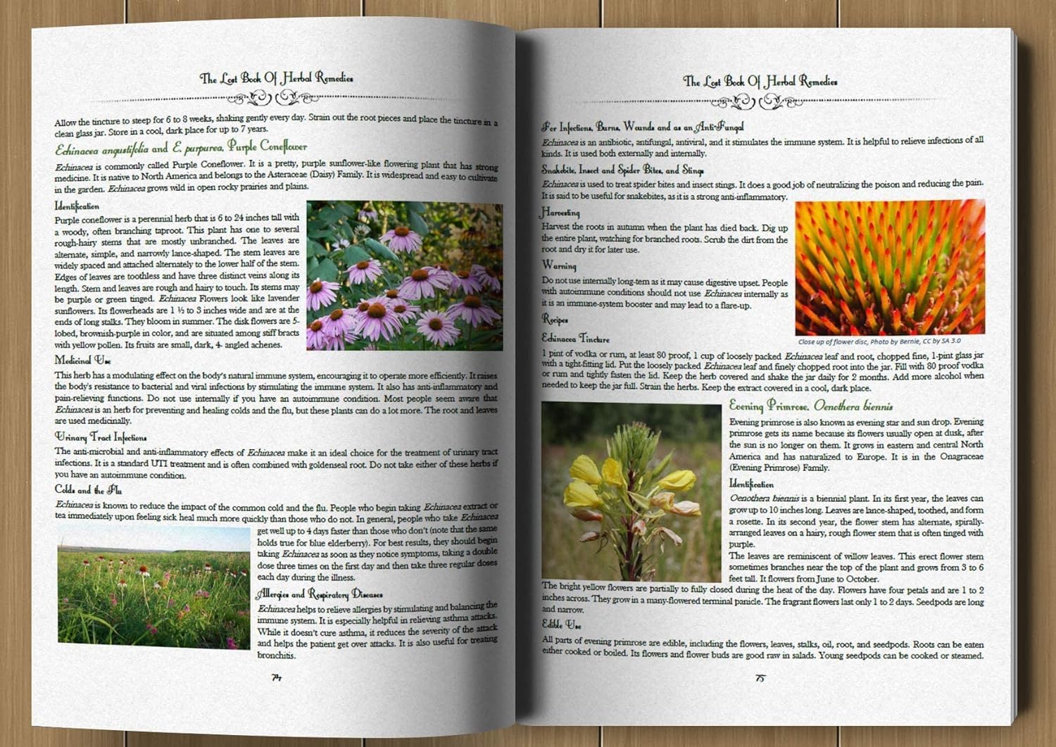 Cover of The Lost Book of Herbal Remedies: The Healing Power of Plant Medicine