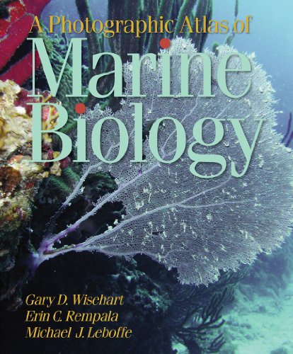 Cover of A Photographic Atlas of Marine Biology