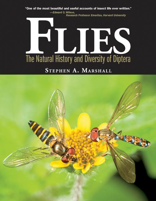 Cover of Flies: The Natural History & Diversity of Diptera