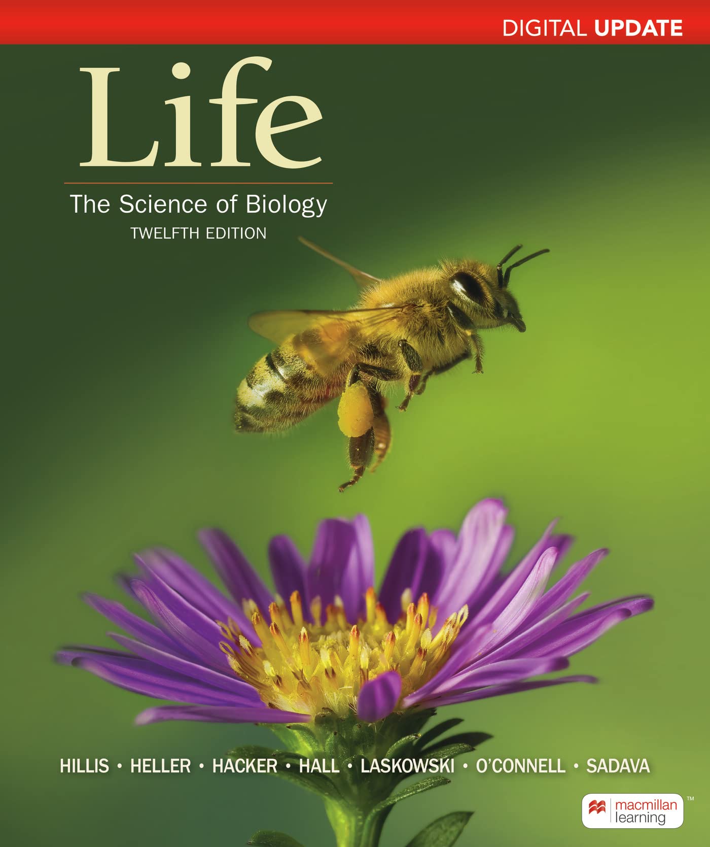 Cover of Loose-Leaf Version for Life: The Science of Biology Digital Update