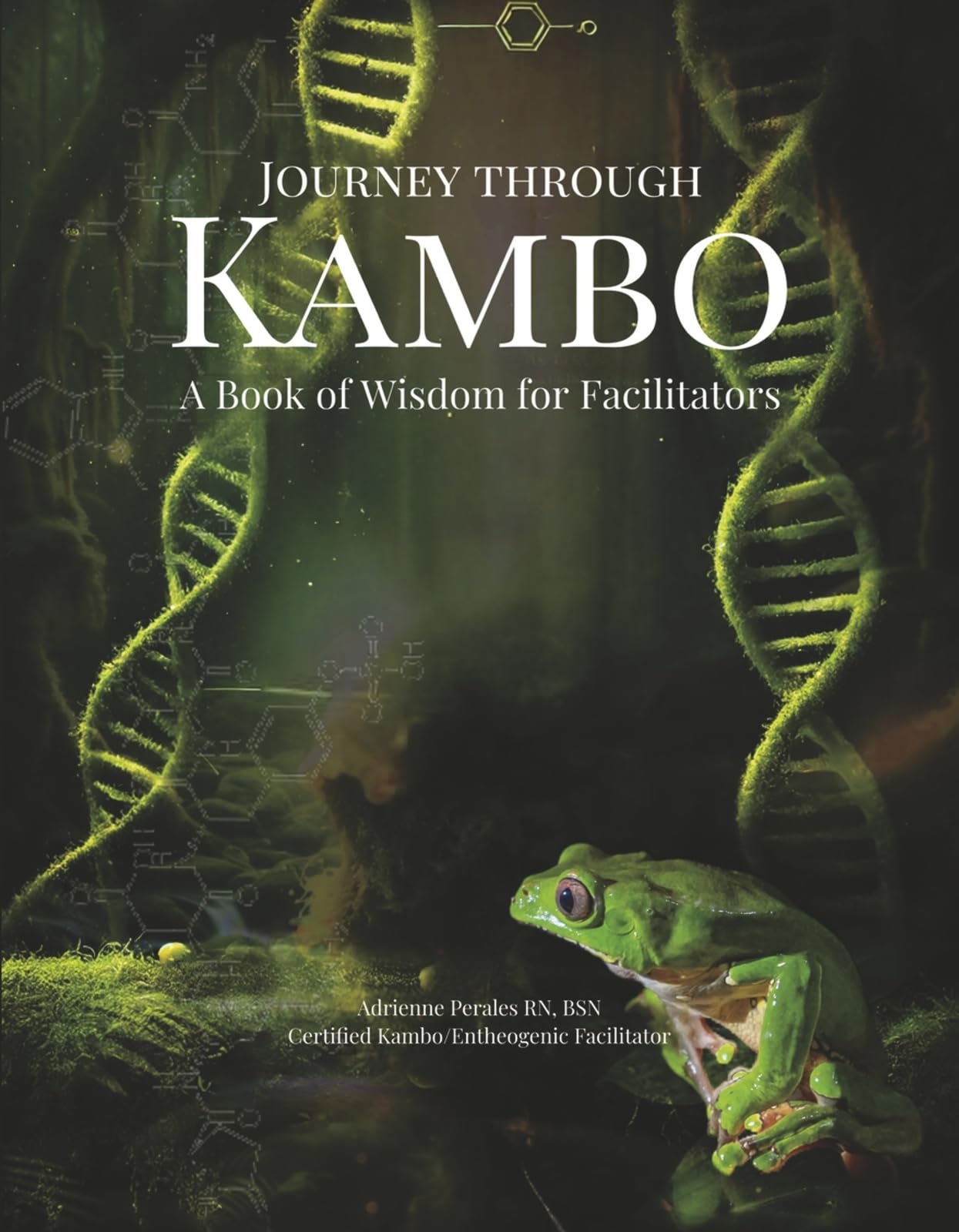 Cover of Journey through Kambo: A Book of Wisdom for Facilitators