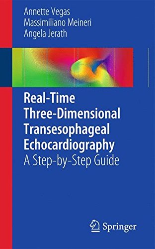 Cover of Real-Time Three-Dimensional Transesophageal Echocardiography: A Step-by-Step Guide