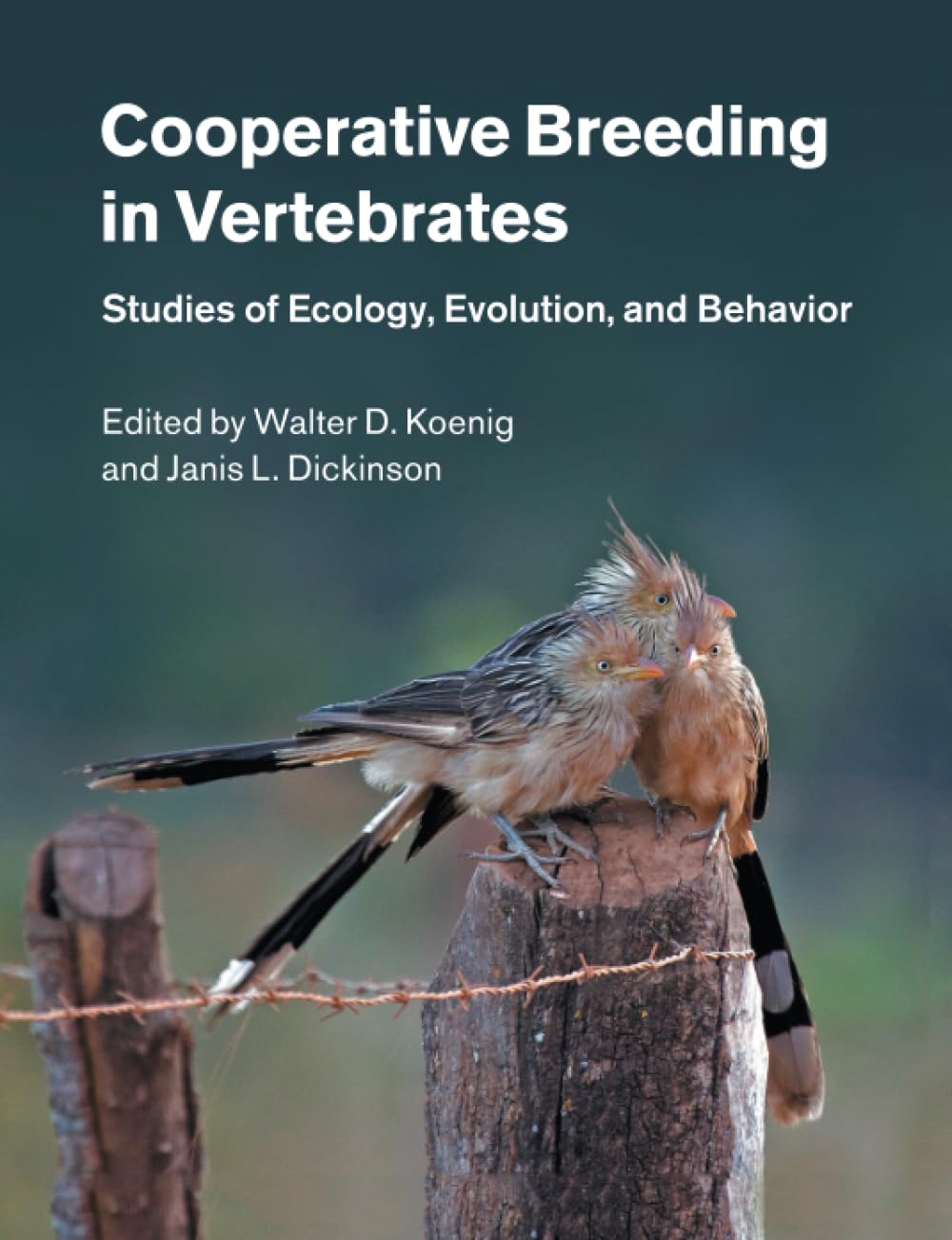 Cover of Cooperative Breeding in Vertebrates: Studies of Ecology, Evolution, and Behavior