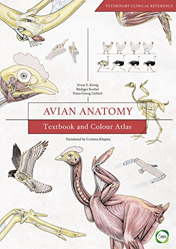 Cover of Avian Anatomy 2nd Edition: Textbook and Colour Atlas