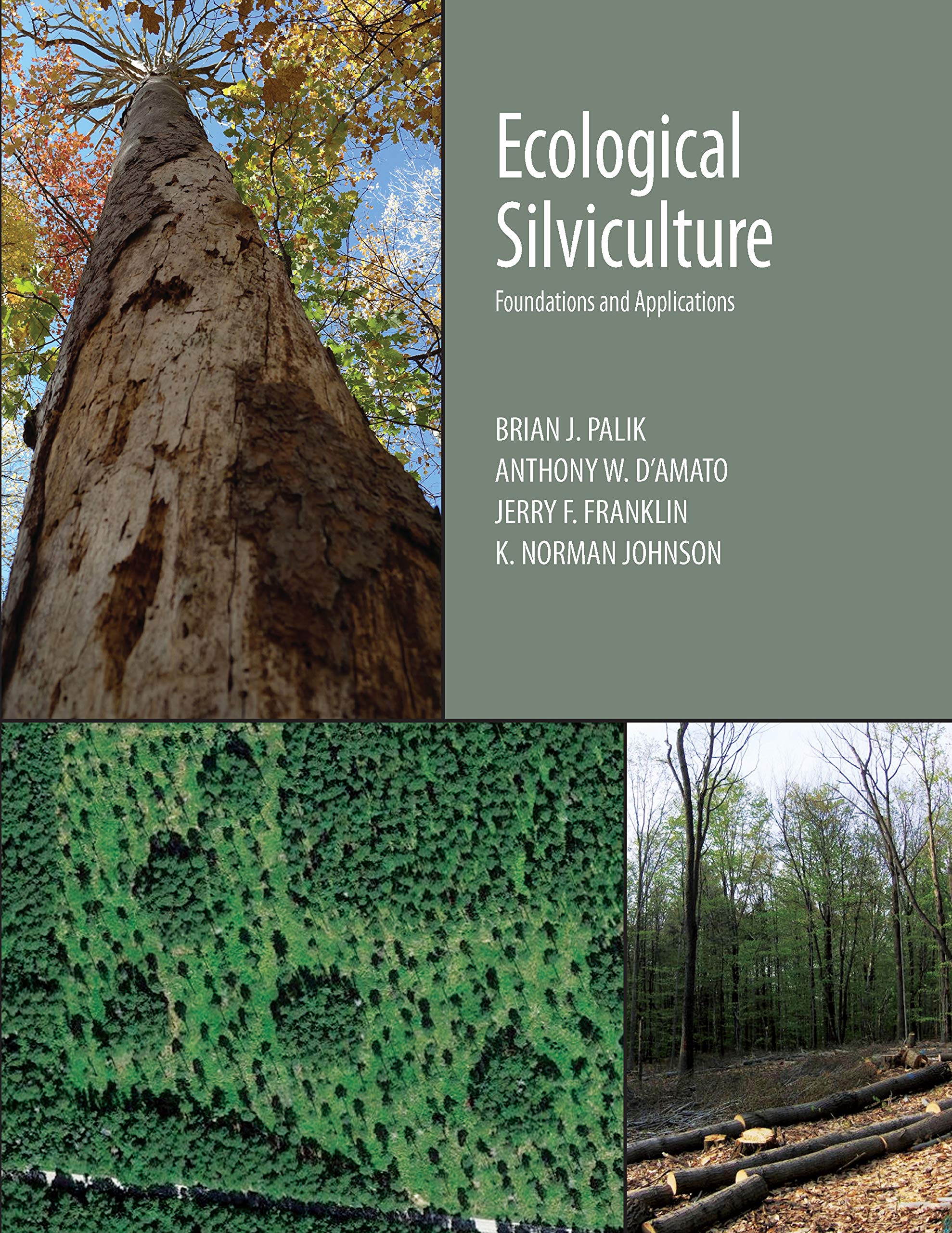 Cover of Ecological Silviculture: Foundations and Applications