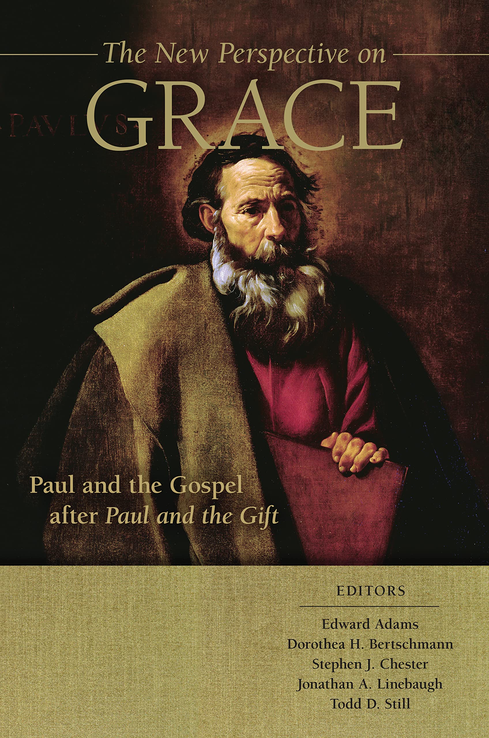 Cover of The New Perspective on Grace: Paul and the Gospel after Paul and the Gift