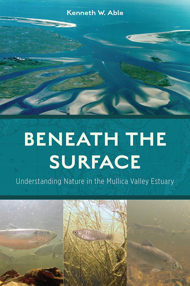 Cover of Beneath the Surface: Understanding Nature in the Mullica Valley Estuary