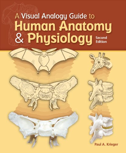 Cover of A Visual Analogy Guide to Human Anatomy & Physiology