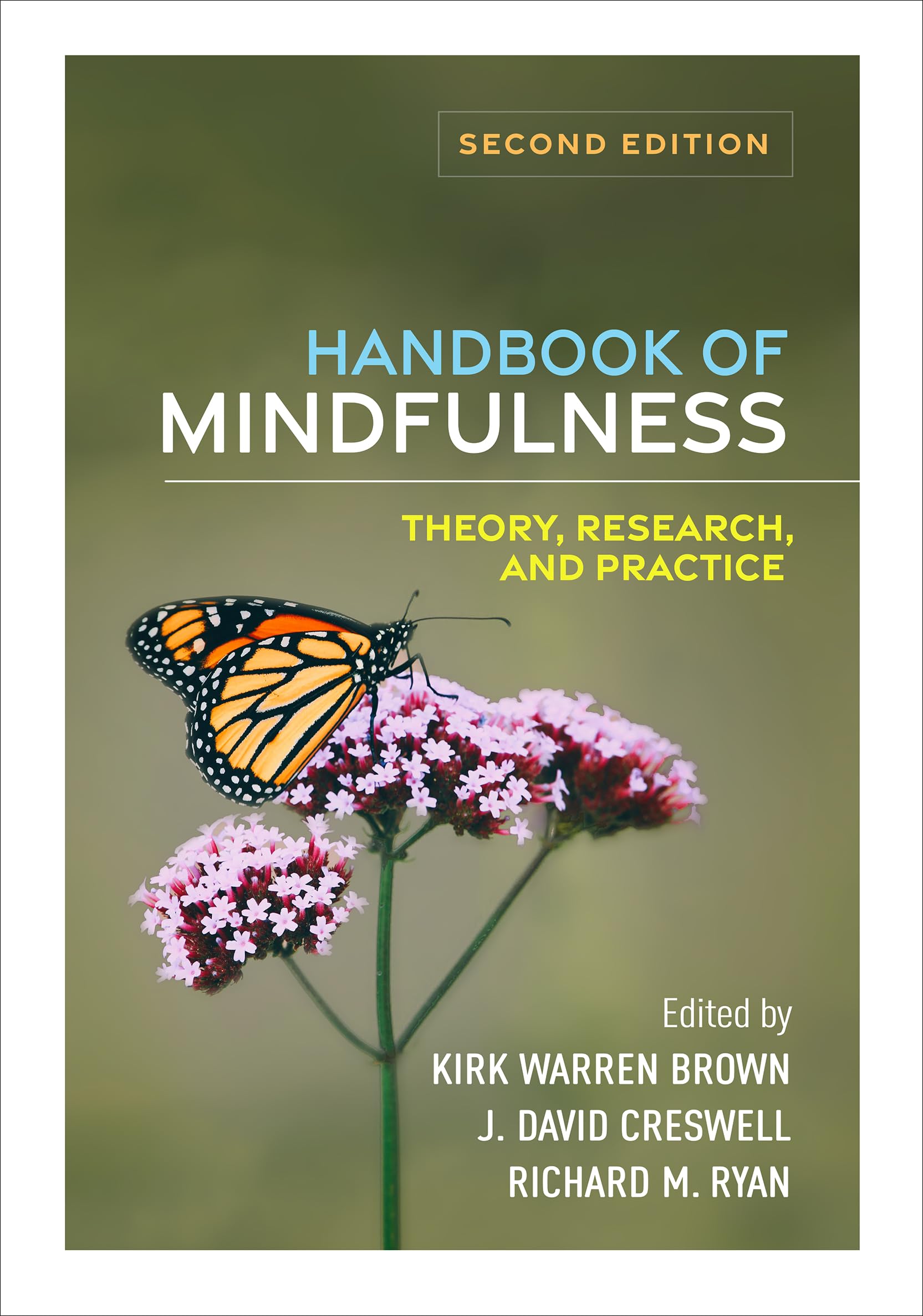 Cover of Handbook of Mindfulness: Theory, Research, and Practice