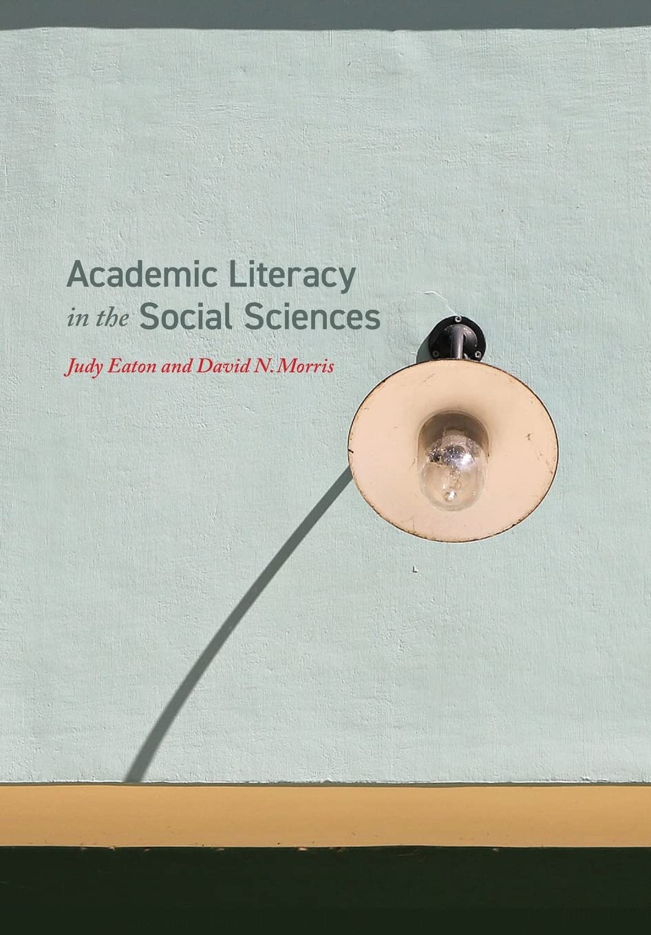 Cover of Academic Literacy in the Social Sciences