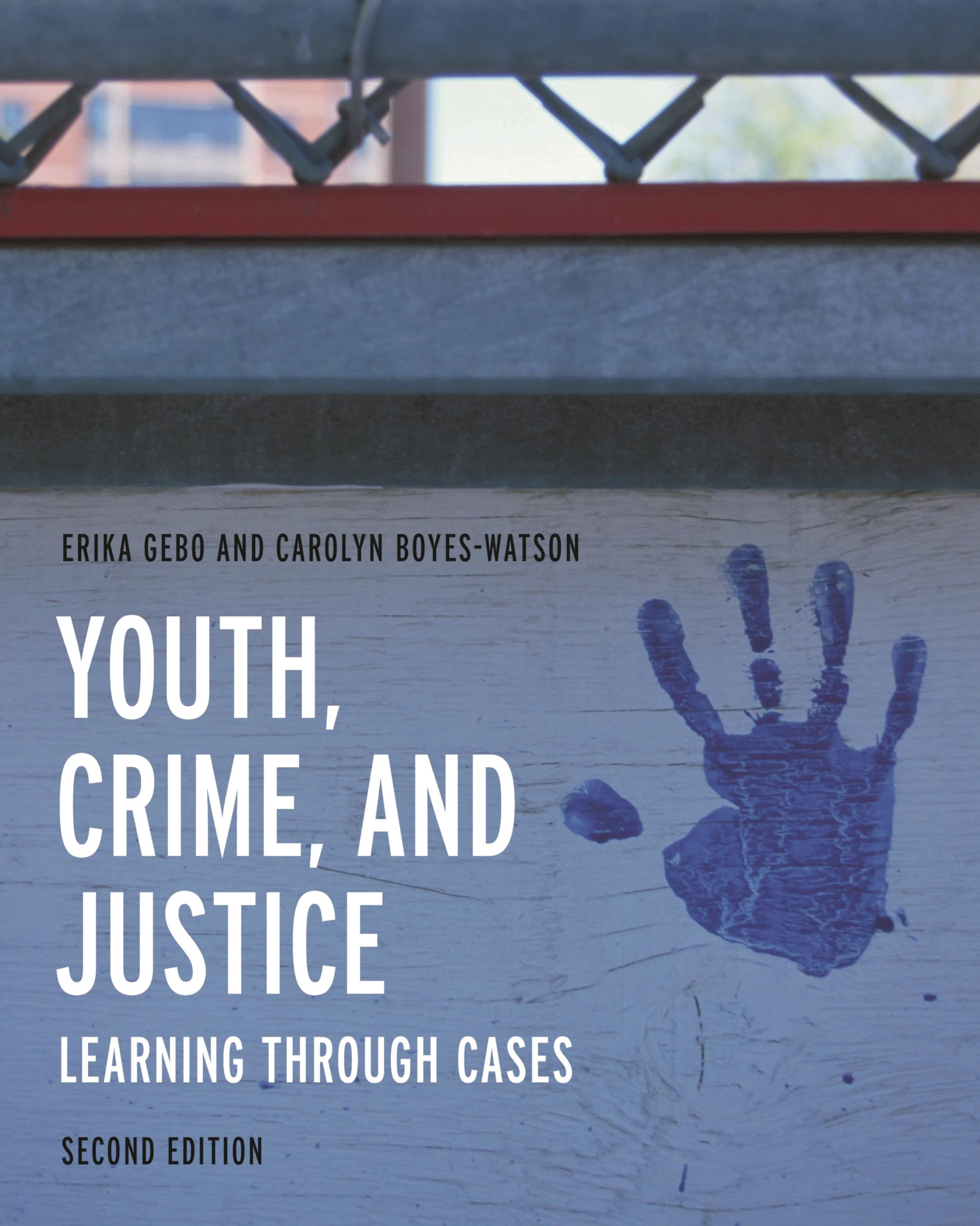 Cover of Youth, Crime, and Justice (Learning through Cases)