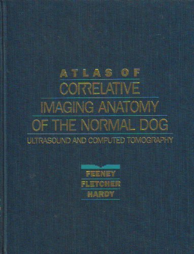 Cover of Practical Computed Tomography (Ct) Guide for the Small Animal Orthopaedic and Neurosurgeon