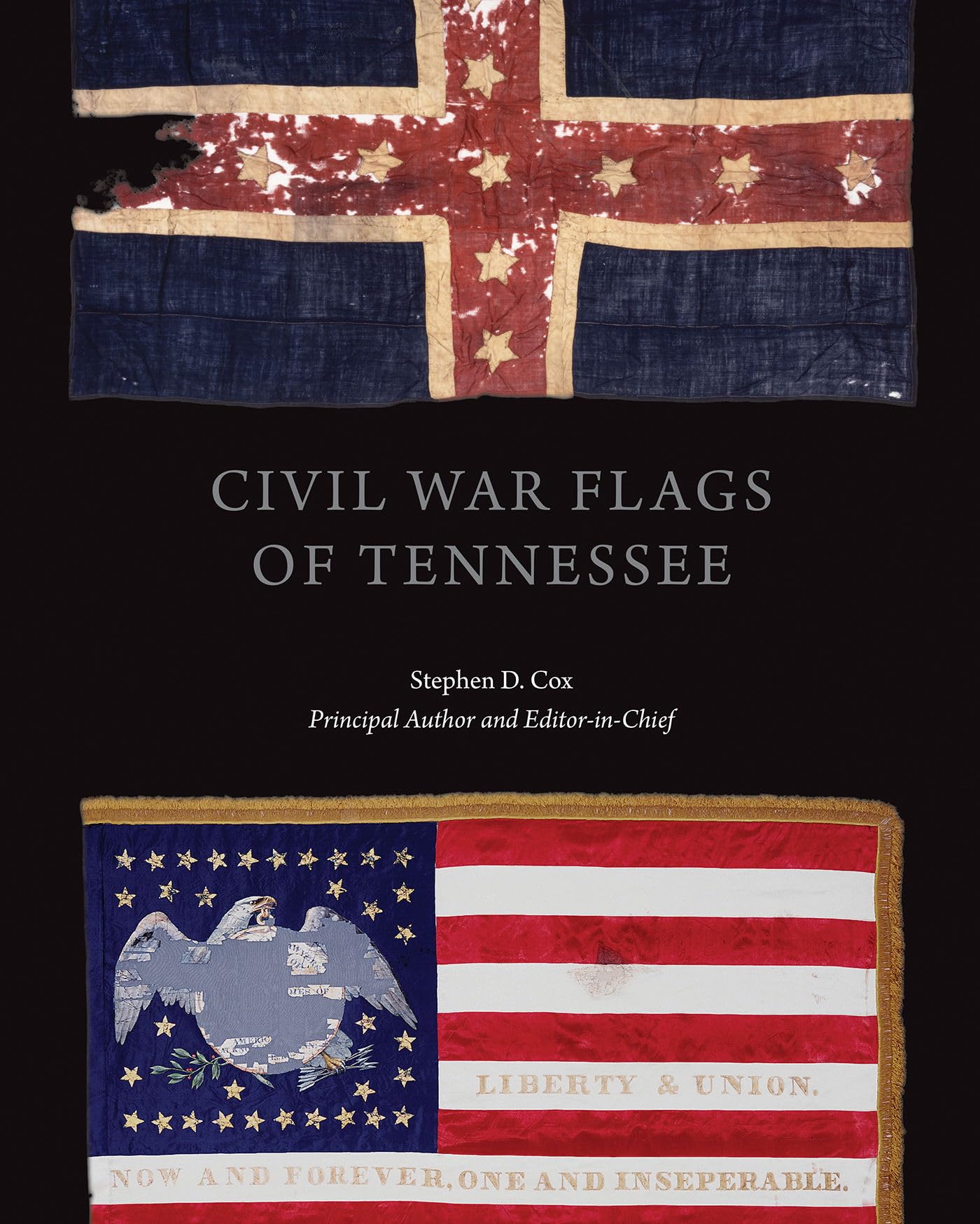 Cover of Civil War Flags of Tennessee
