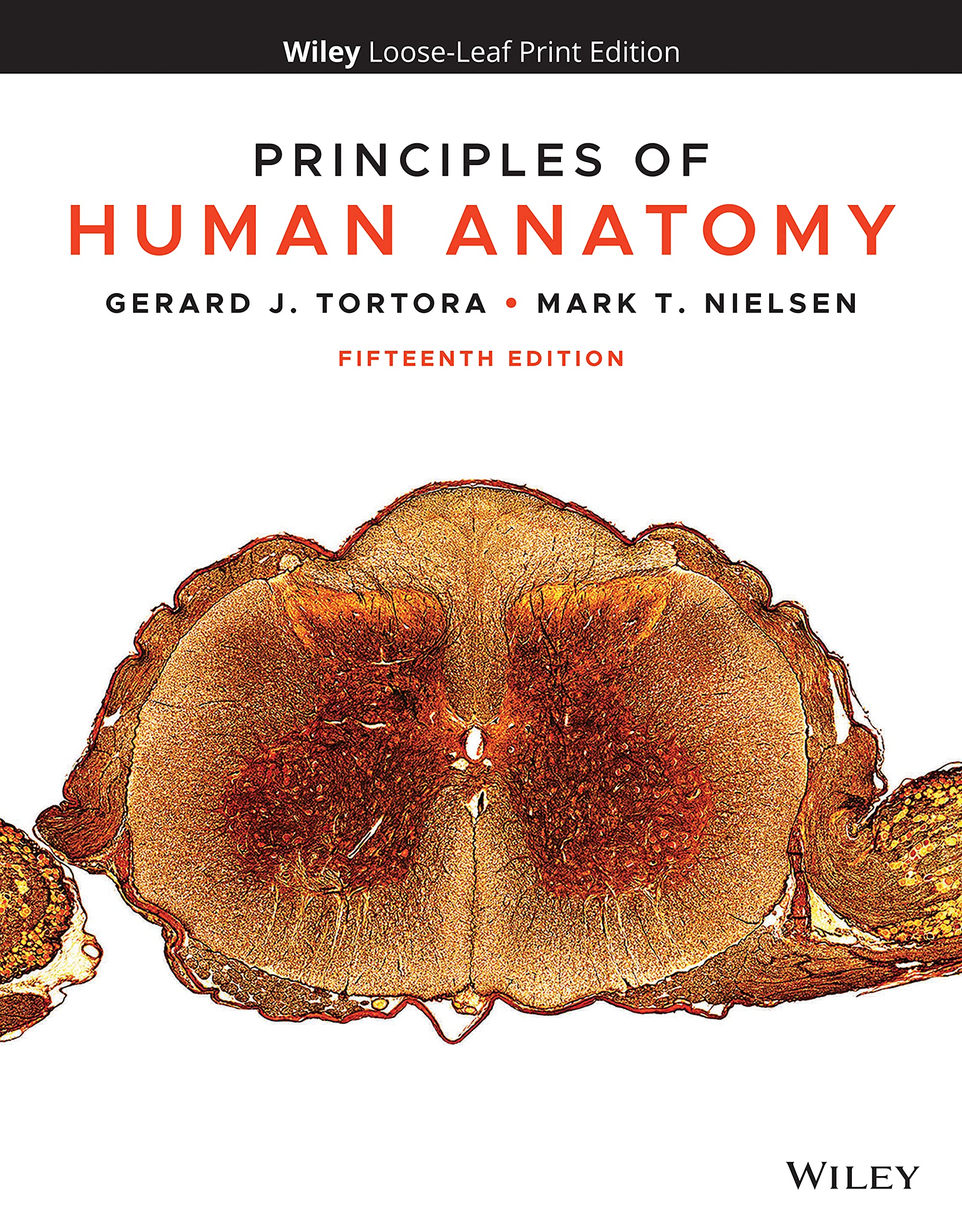 Cover of Principles of Human Anatomy
