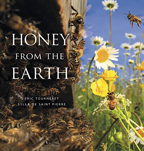 Cover of Honey From the Earth: Beekeeping and Honey Hunting on Six Continents