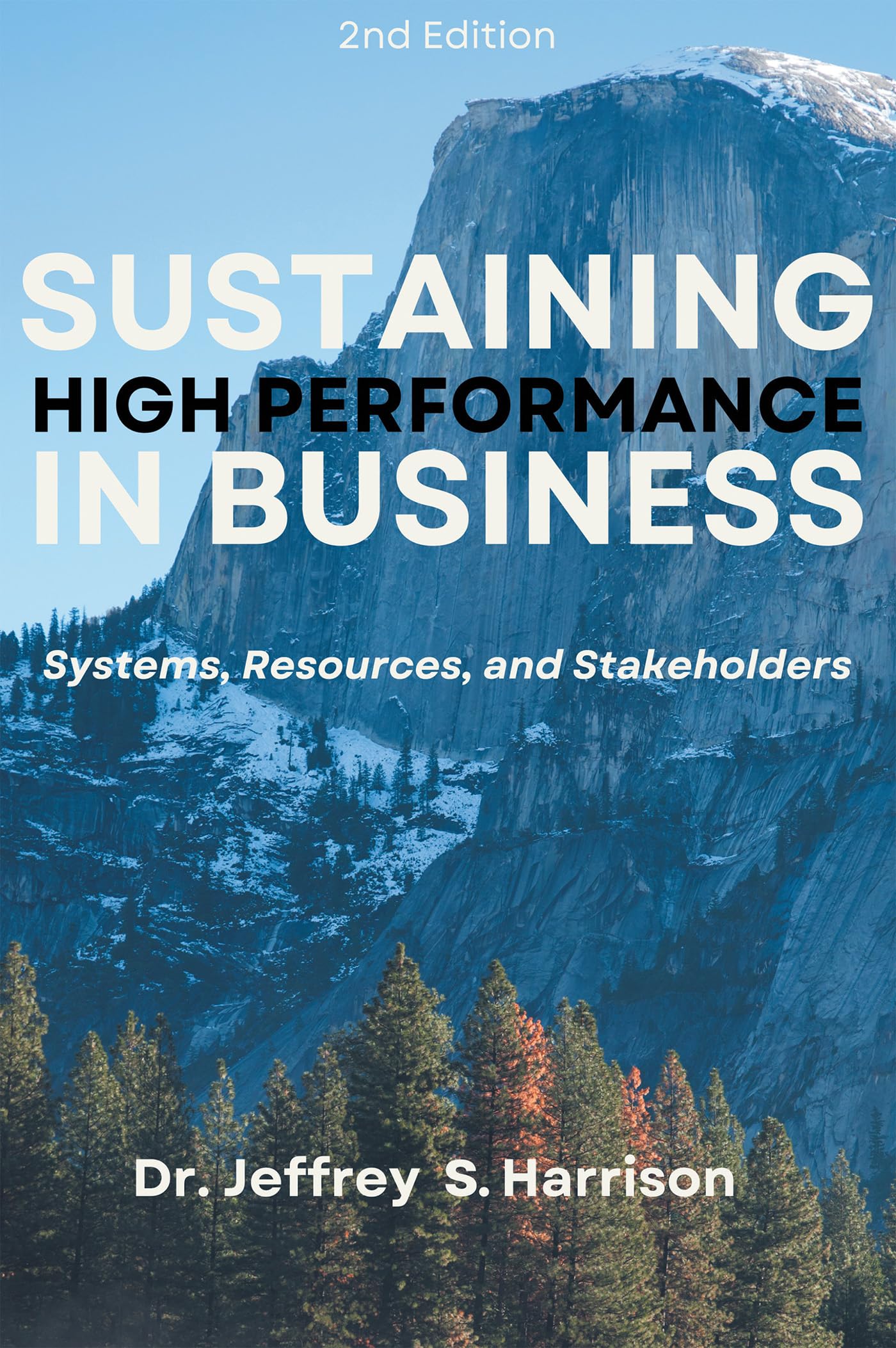 Cover of Sustaining High Performance in Business: Systems, Resources, and Stakeholders