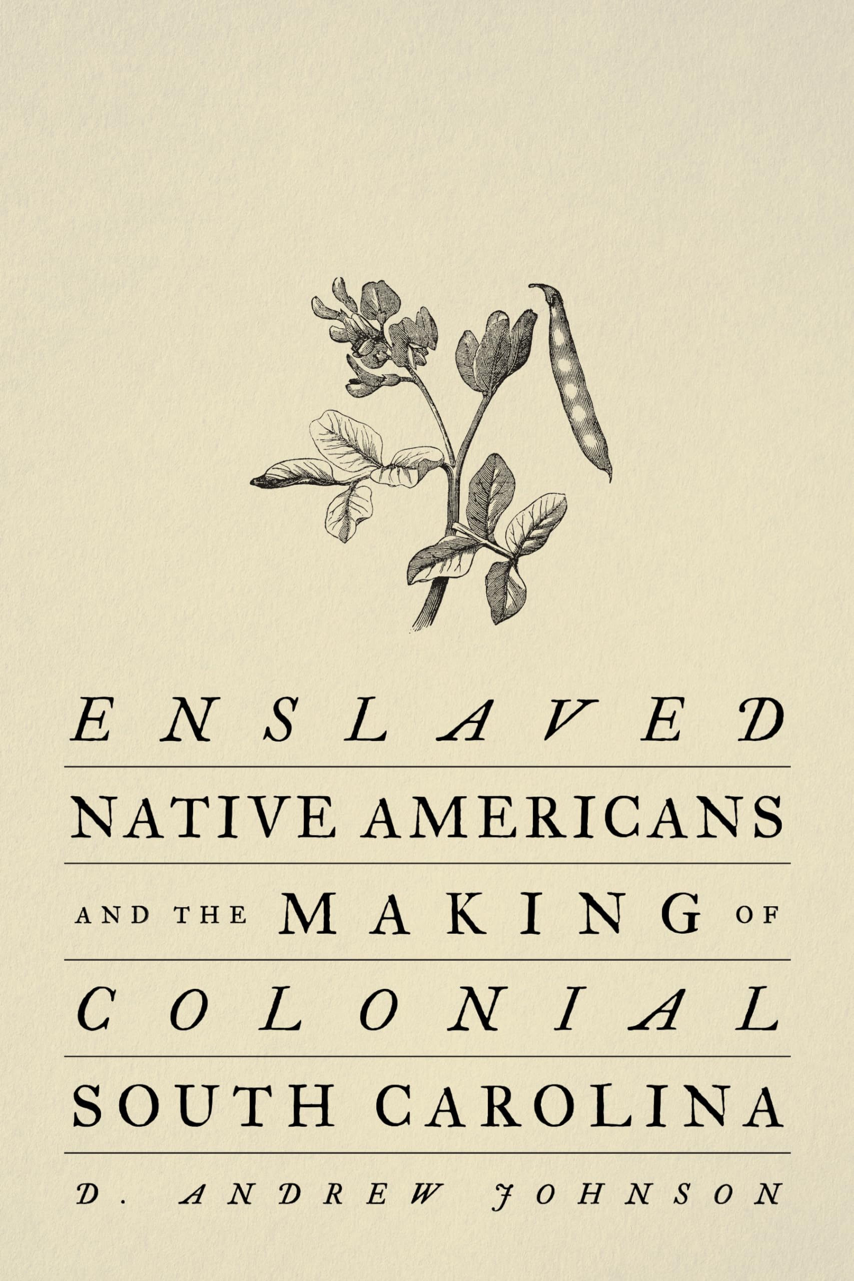 Cover of Enslaved Native Americans and the Making of Colonial South Carolina