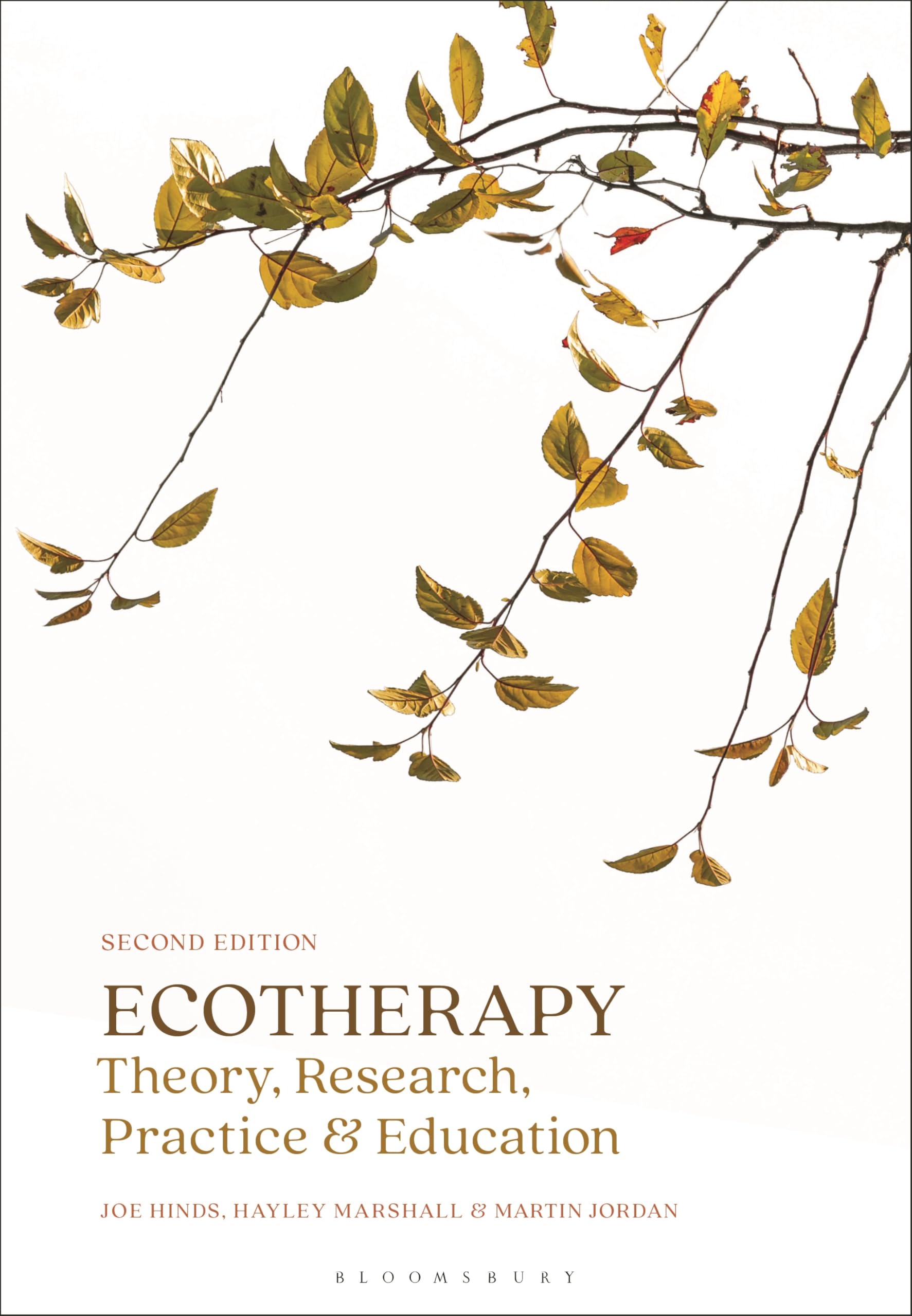 Cover of Ecotherapy: Theory, Research, Practice & Education