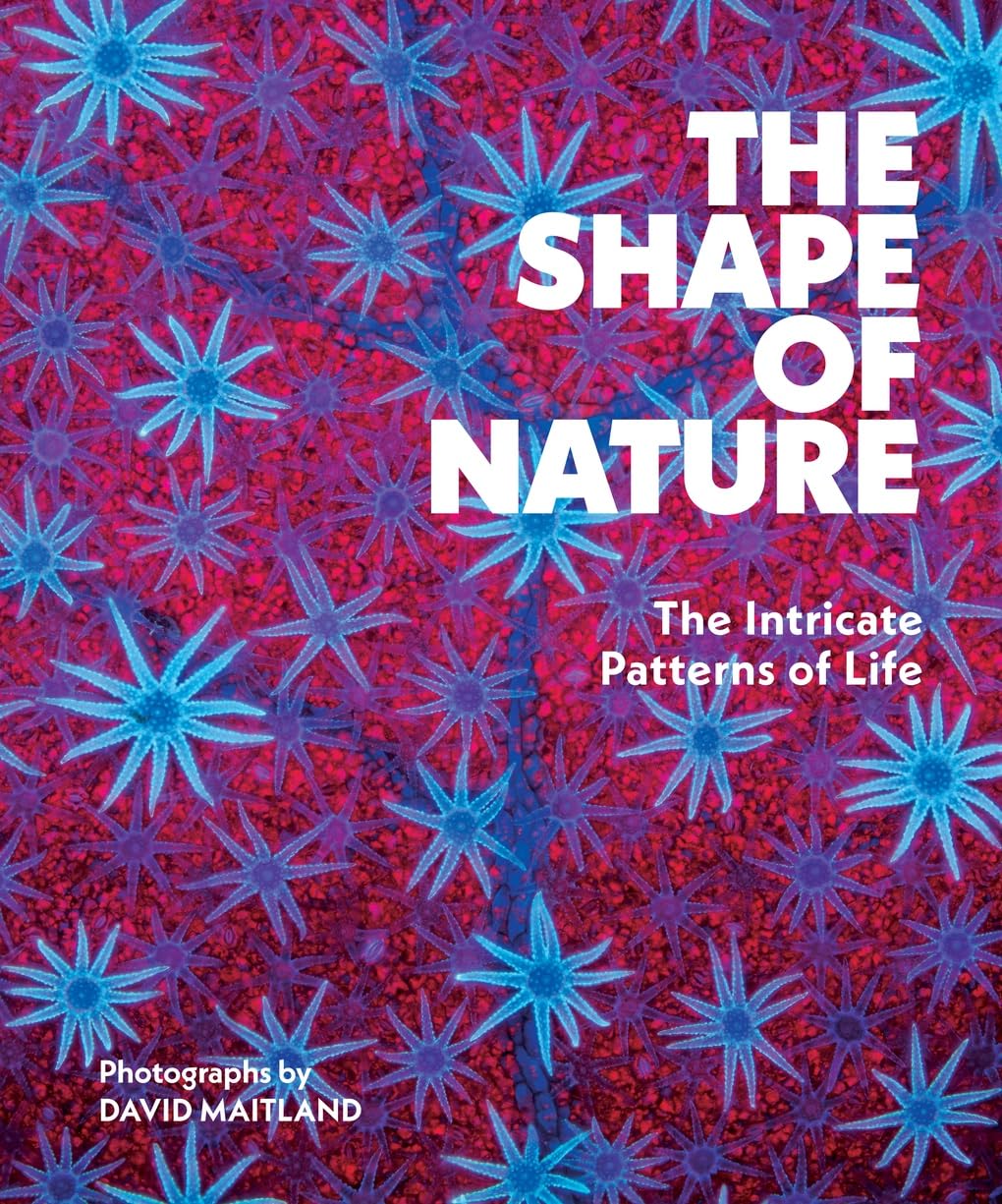 Cover of The Shape of Nature: The Intricate Patterns of Life