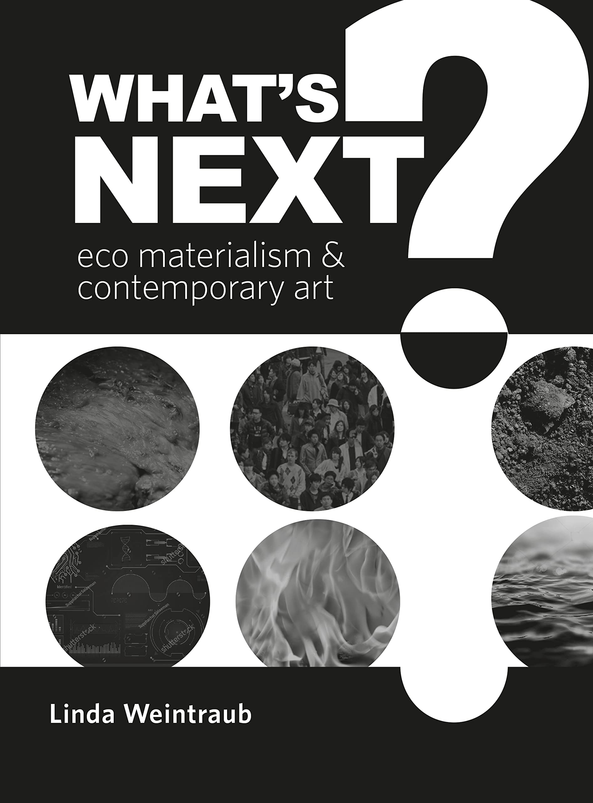 Cover of What's Next?: Eco Materialism and Contemporary Art