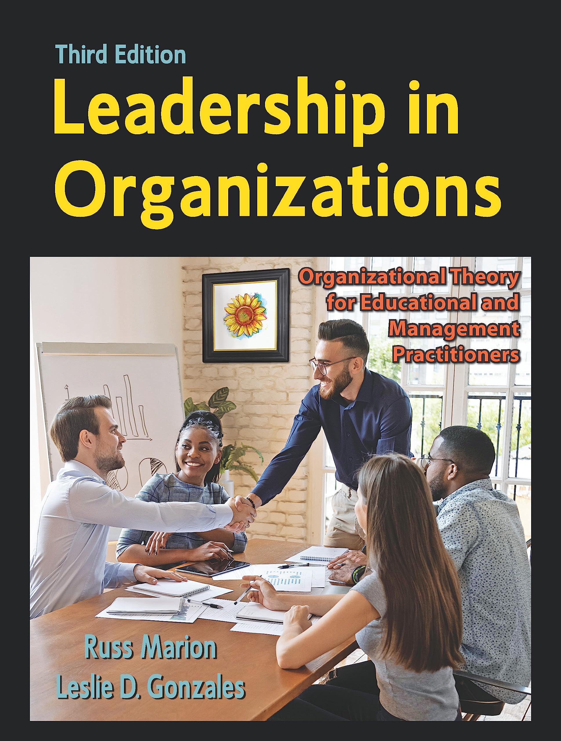 Cover of Leadership in Organizations: Organizational Theory for Educational and Management Practitioners, Third Edition