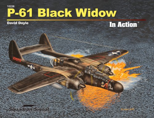 Cover of P-61 Black Widow In Action (10226)
