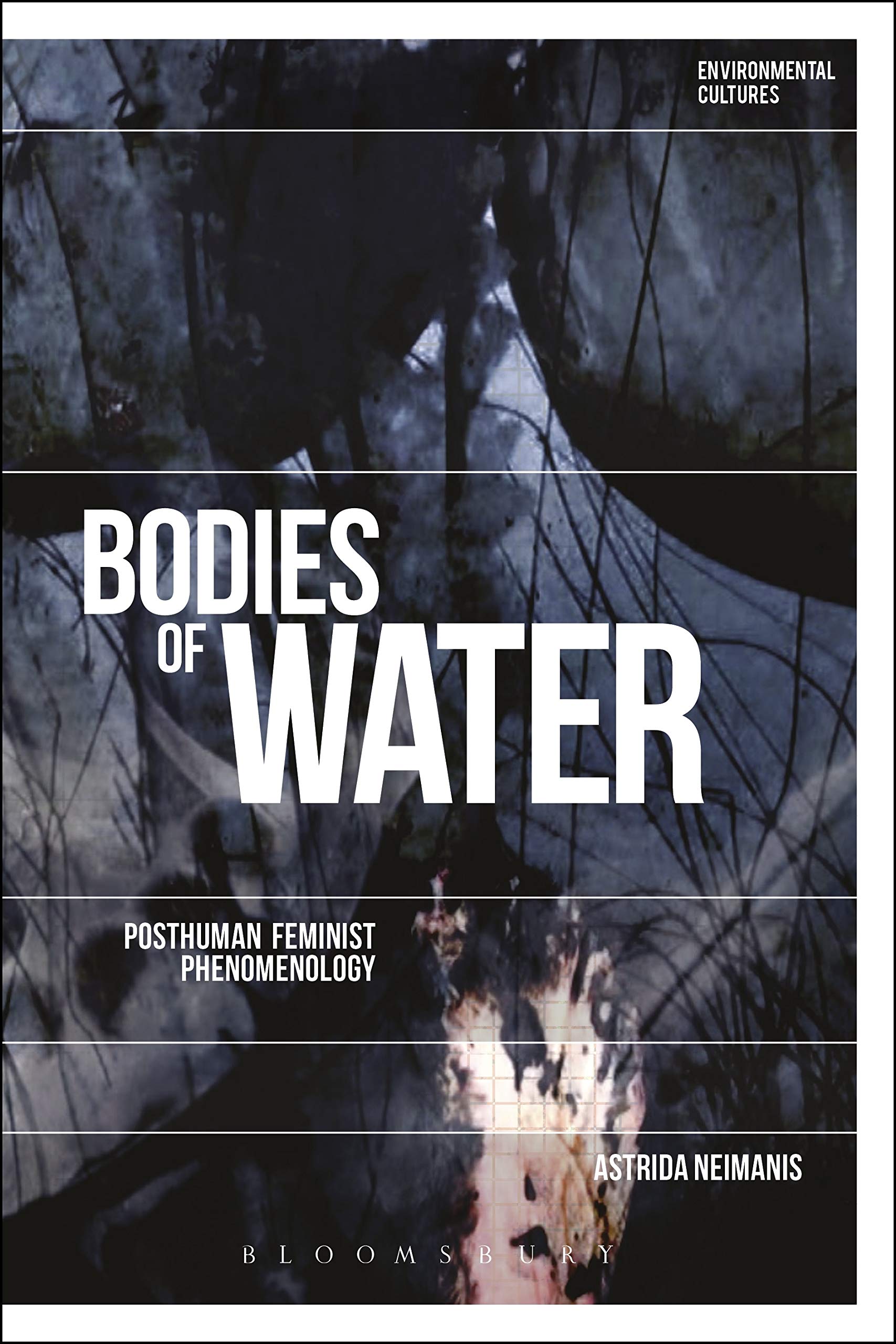 Cover of Bodies of Water: Posthuman Feminist Phenomenology (Environmental Cultures)