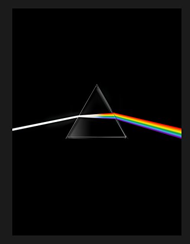 Cover of Pink Floyd: Their Mortal Remains