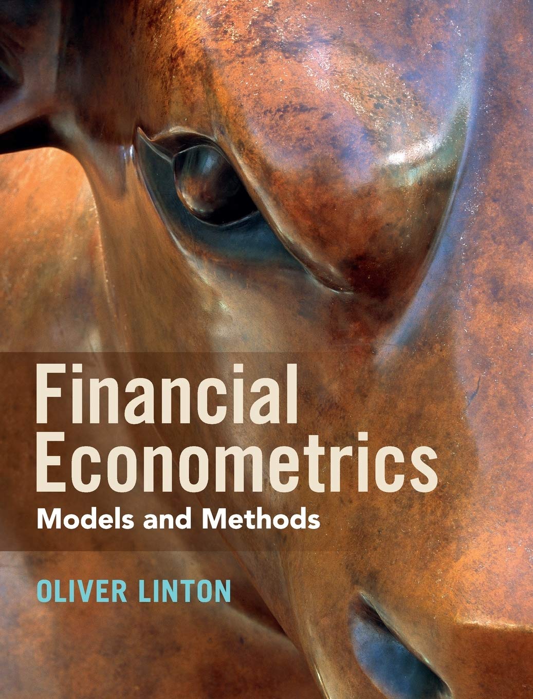 Cover of Financial Econometrics: Models and Methods