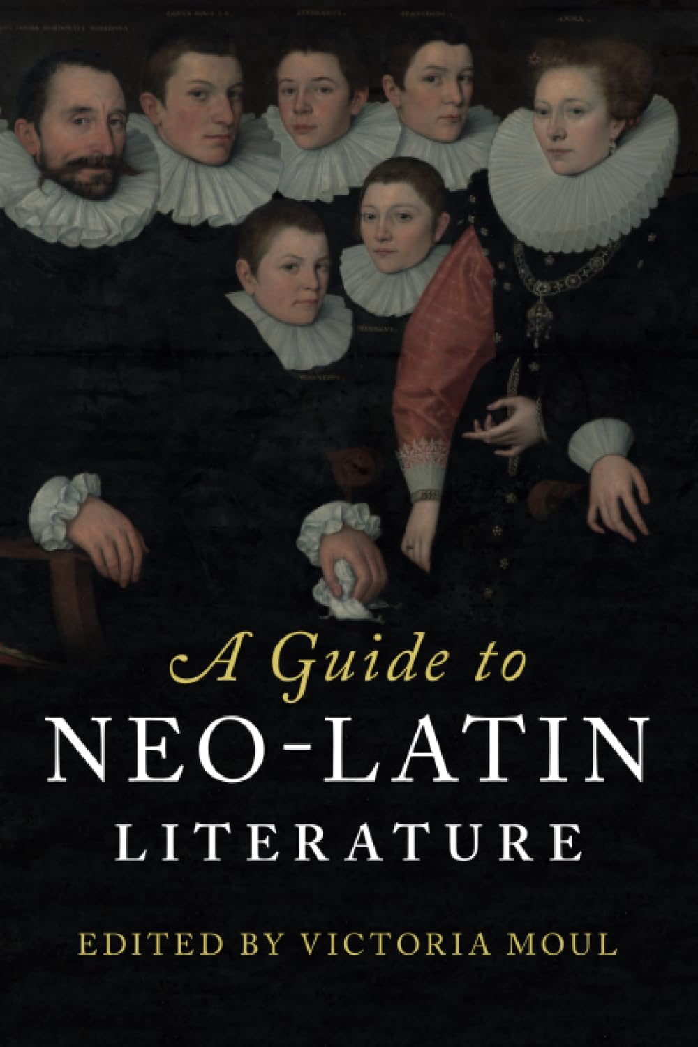 Cover of A Guide to Neo-Latin Literature