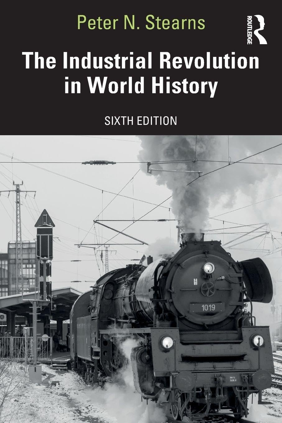 Cover of The Industrial Revolution in World History