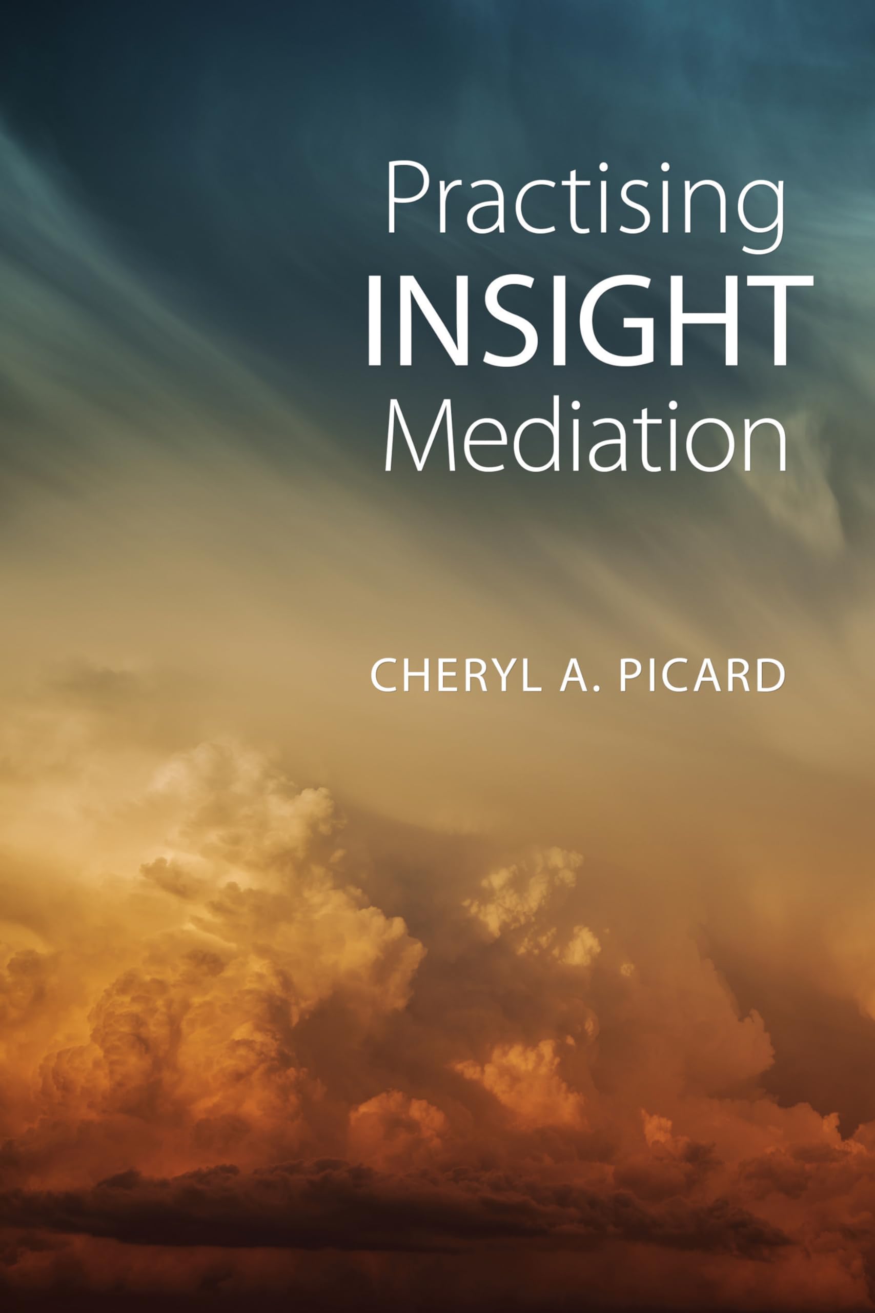 Cover of Practising Insight Mediation