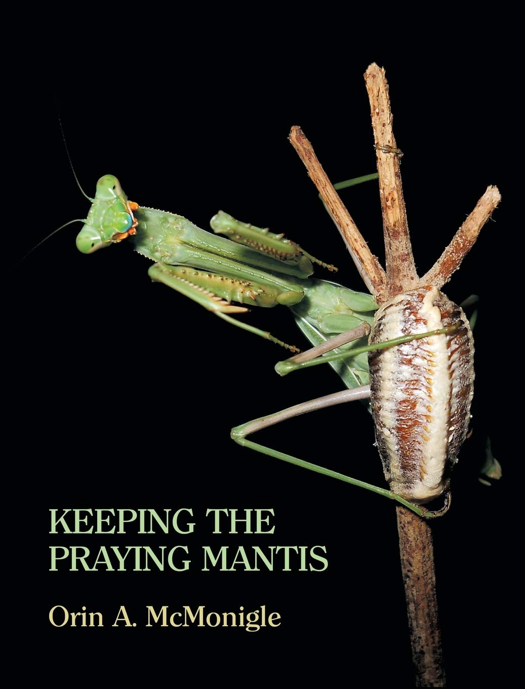 Cover of Keeping the Praying Mantis: Mantodean Captive Biology, Reproduction, and Husbandry
