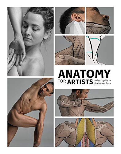 Cover of Anatomy for Artists: A Visual Guide to the Human Form