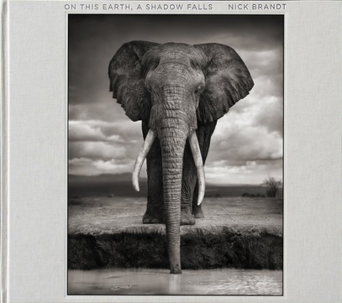 Cover of On This Earth, A Shadow Falls