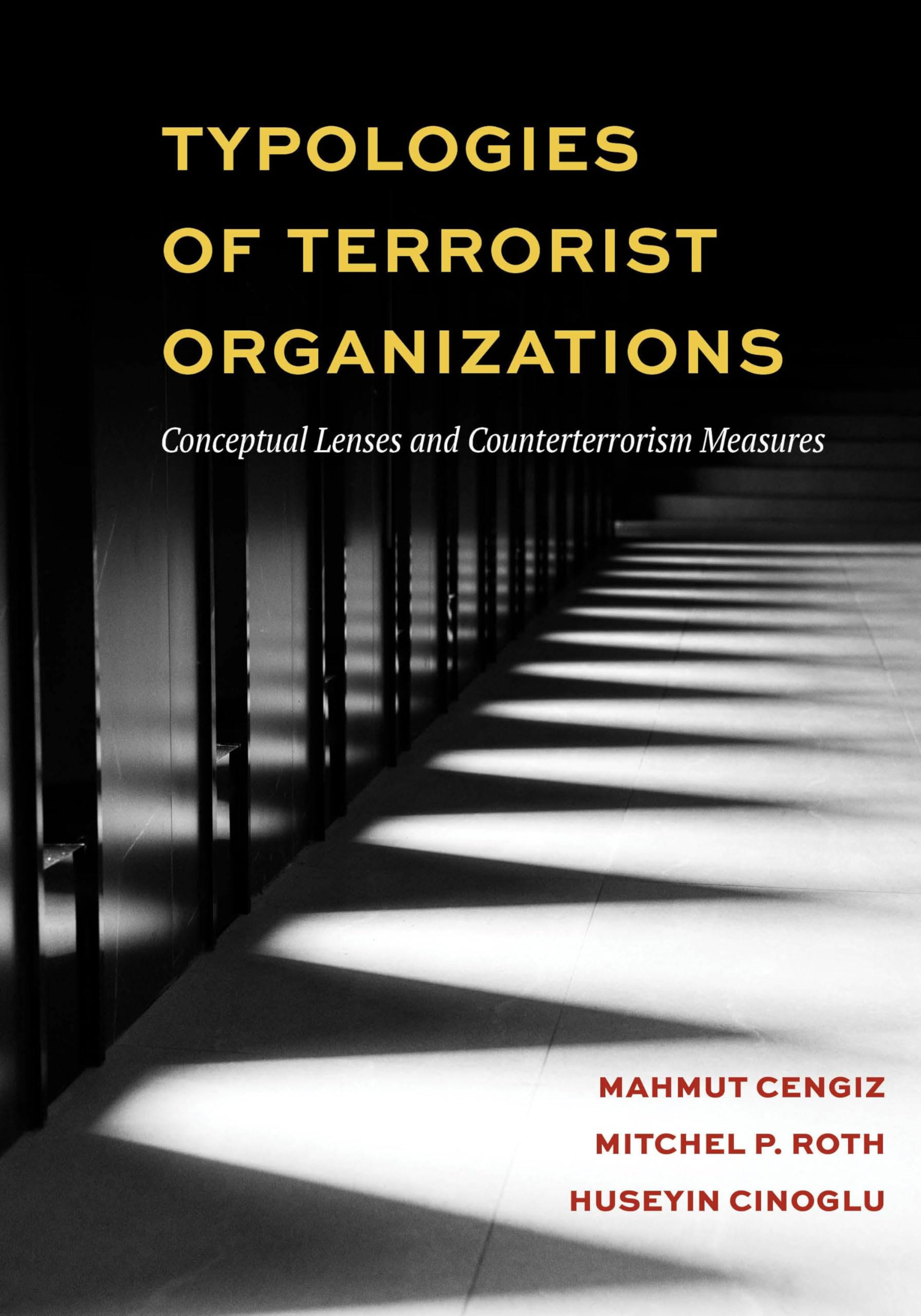 Cover of Typologies of Terrorist Organizations: Conceptual Lenses and Counterterrorism Measures