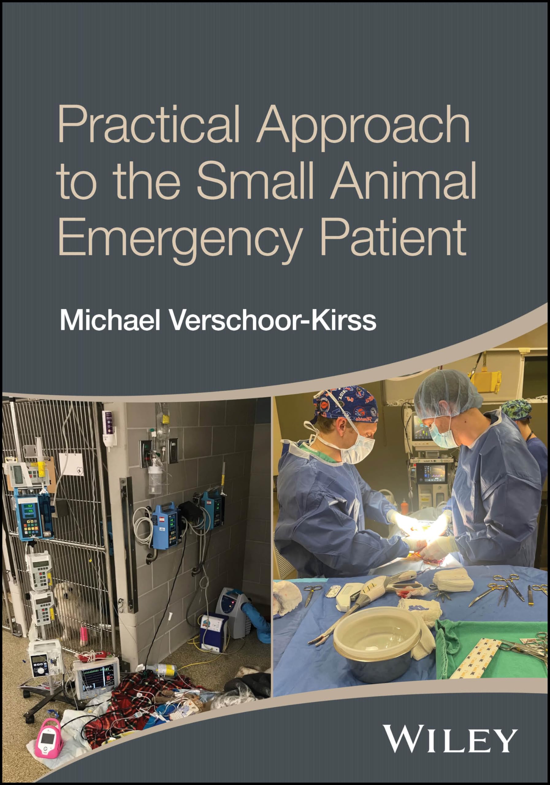 Cover of Practical Approach to the Small Animal Emergency Patient