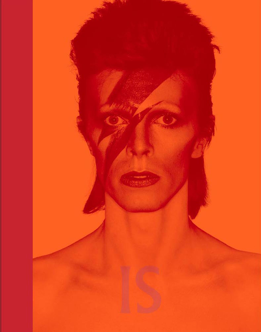 Cover of David Bowie Is: Inside the Visionary World of David Bowie