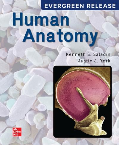 Cover of Loose Leaf for Saladin Human Anatomy: 2024 Release