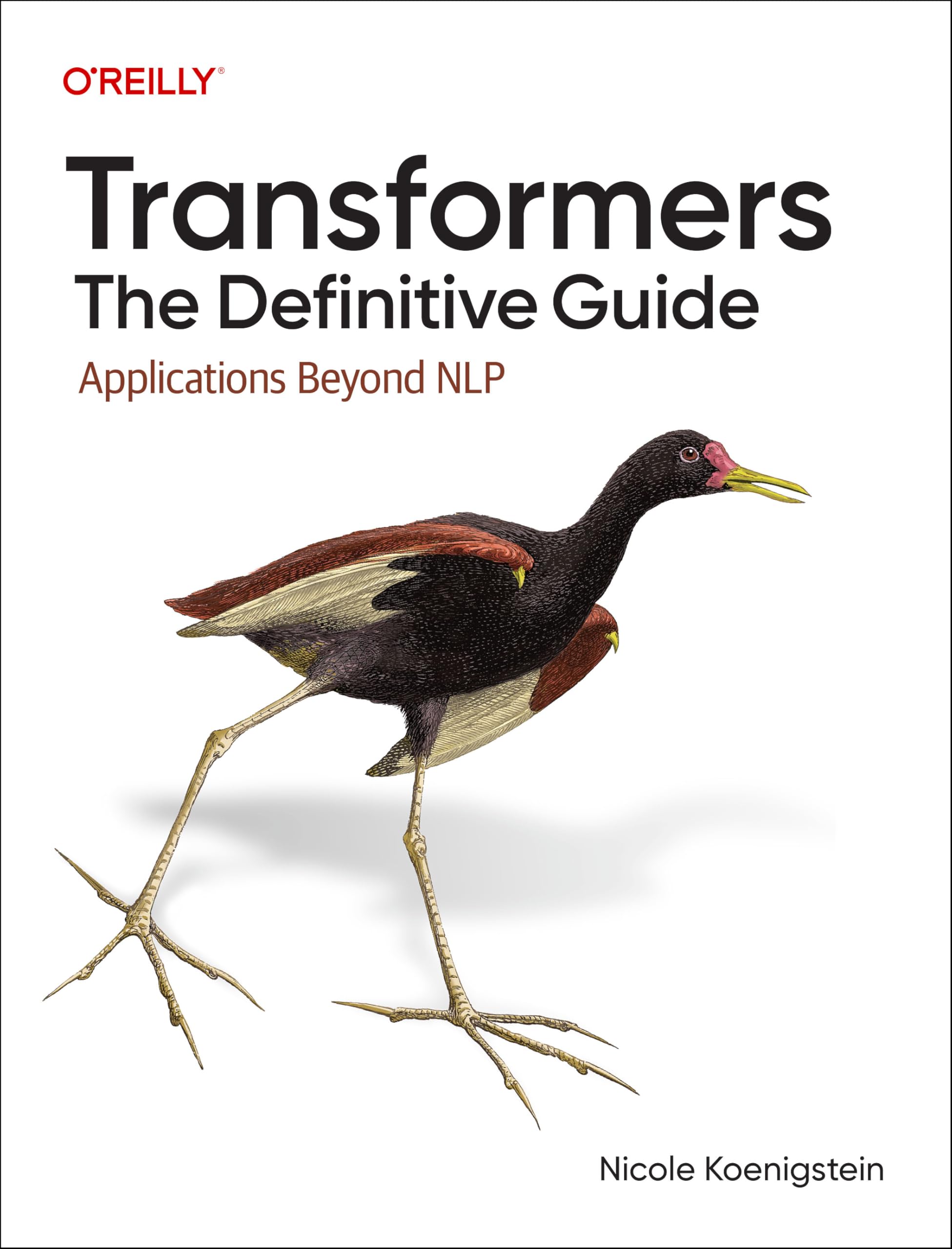 Cover of Transformers: The Definitive Guide: Applications Beyond NLP
