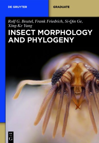 Cover of Insect Morphology and Phylogeny (de Gruyter Textbook)