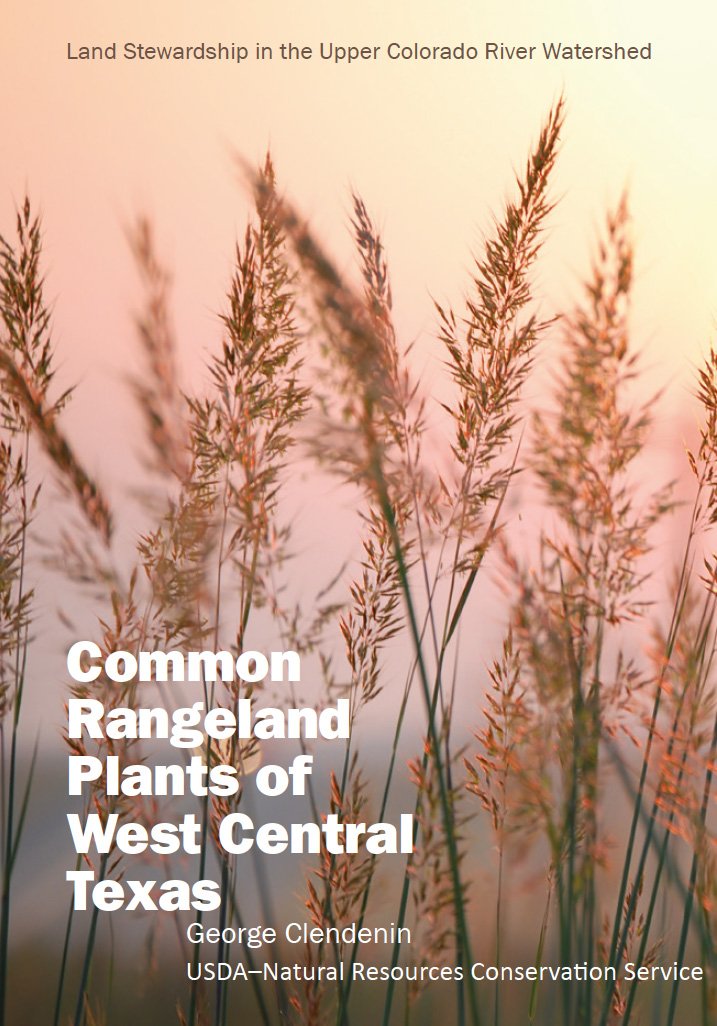 Cover of Common Rangeland Plants of West Central Texas