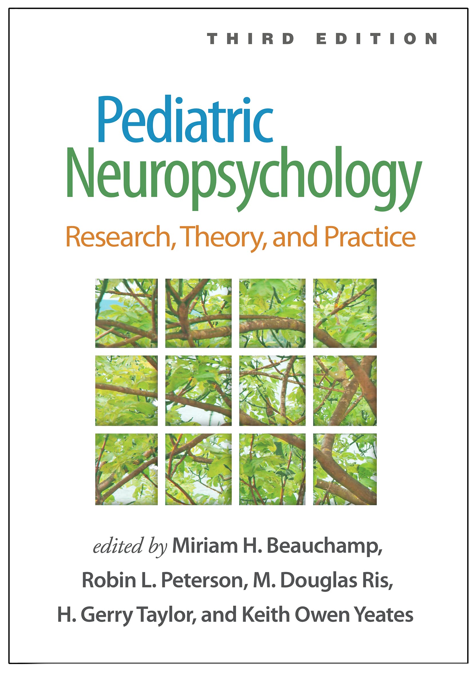 Cover of Pediatric Neuropsychology: Research, Theory, and Practice