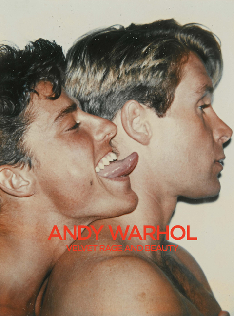 Cover of Andy Warhol: Velvet Rage and Beauty