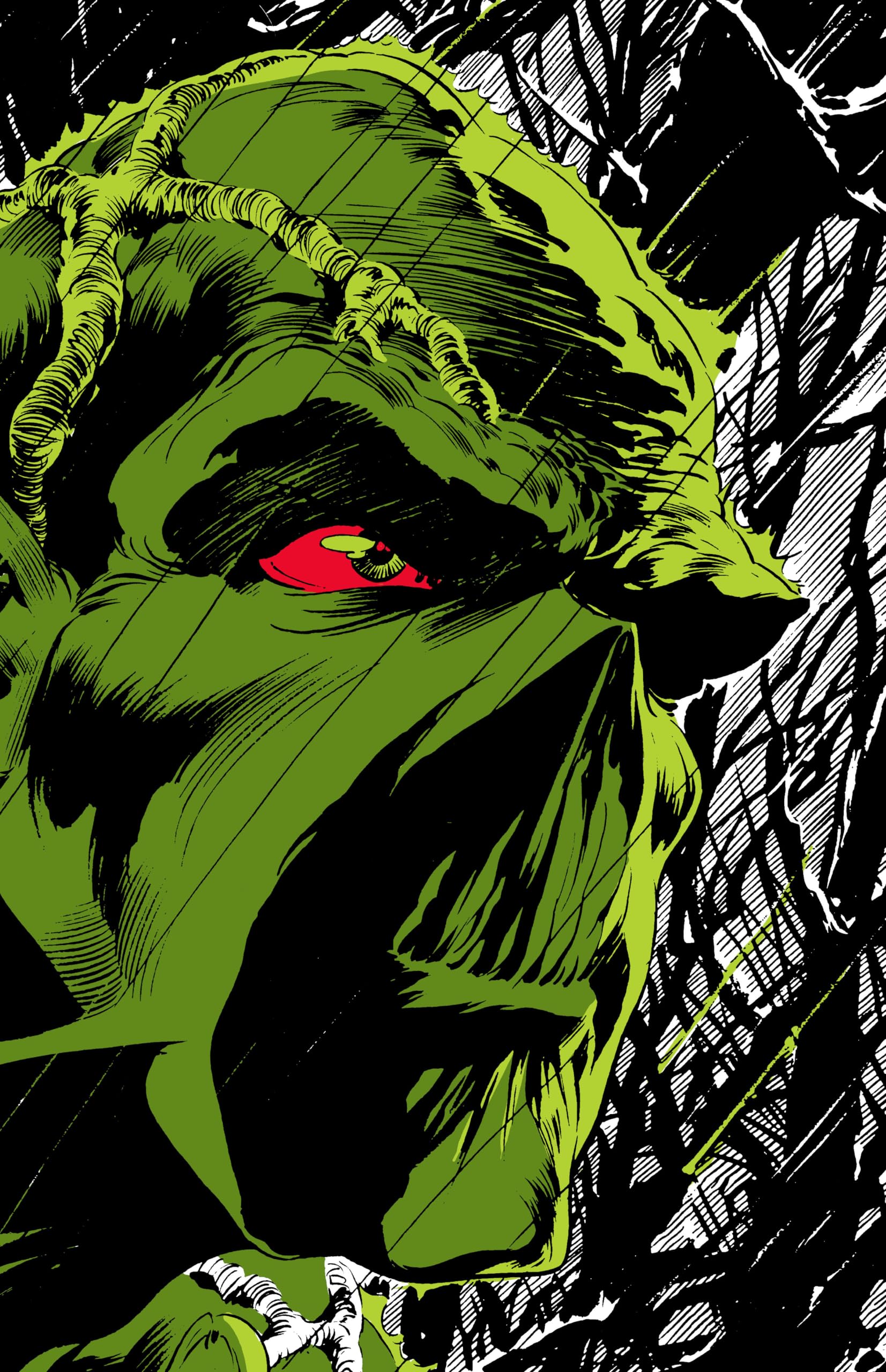 Cover of Absolute Swamp Thing by Len Wein and Bernie Wrightson