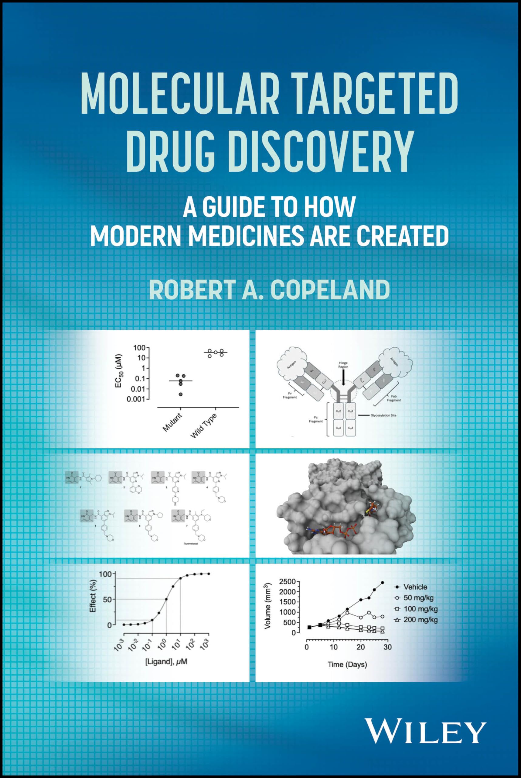 Cover of Molecular Targeted Drug Discovery: A Guide to How Modern Medicines are Created
