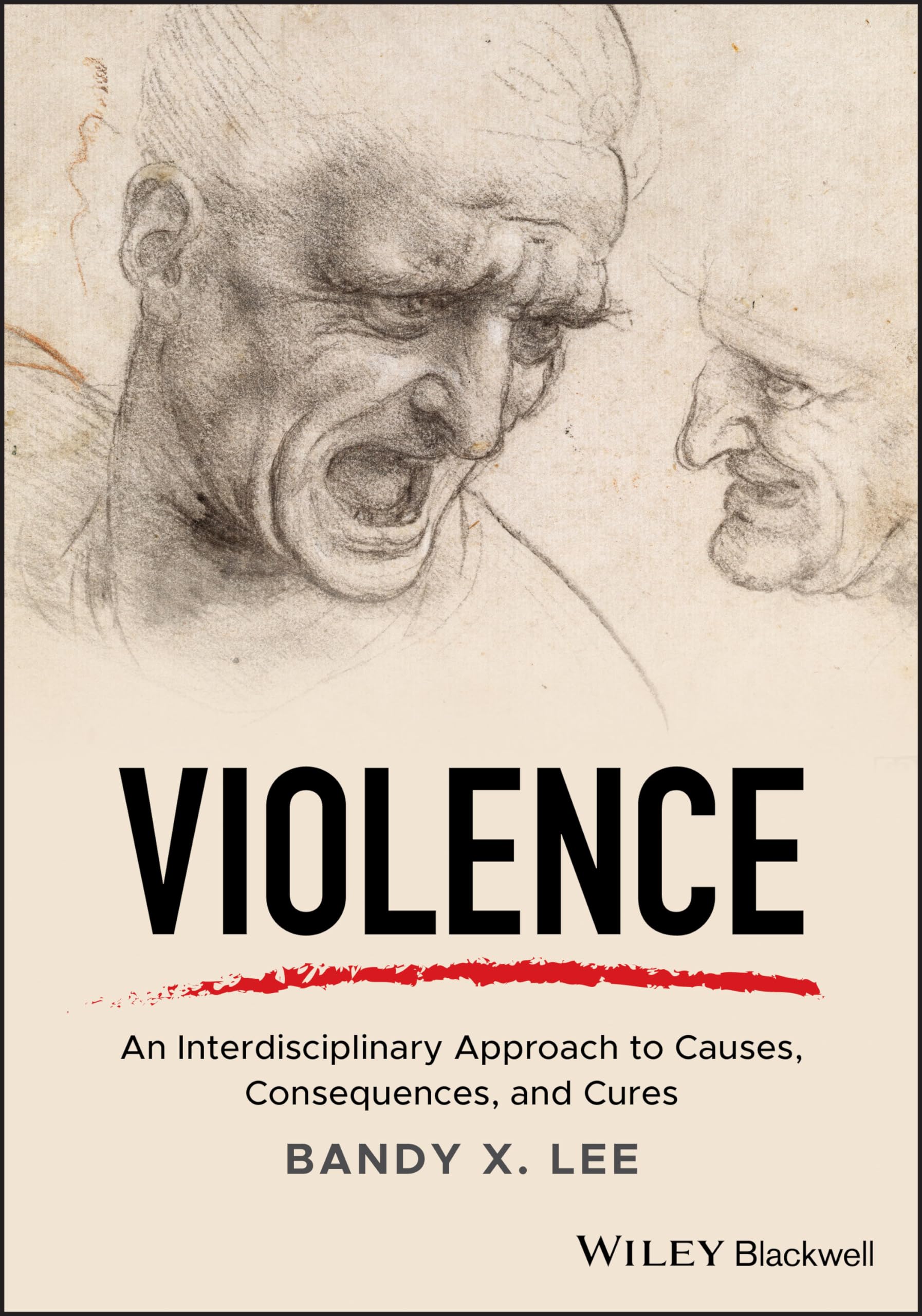 Cover of Violence: An Interdisciplinary Approach to Causes, Consequences, and Cures