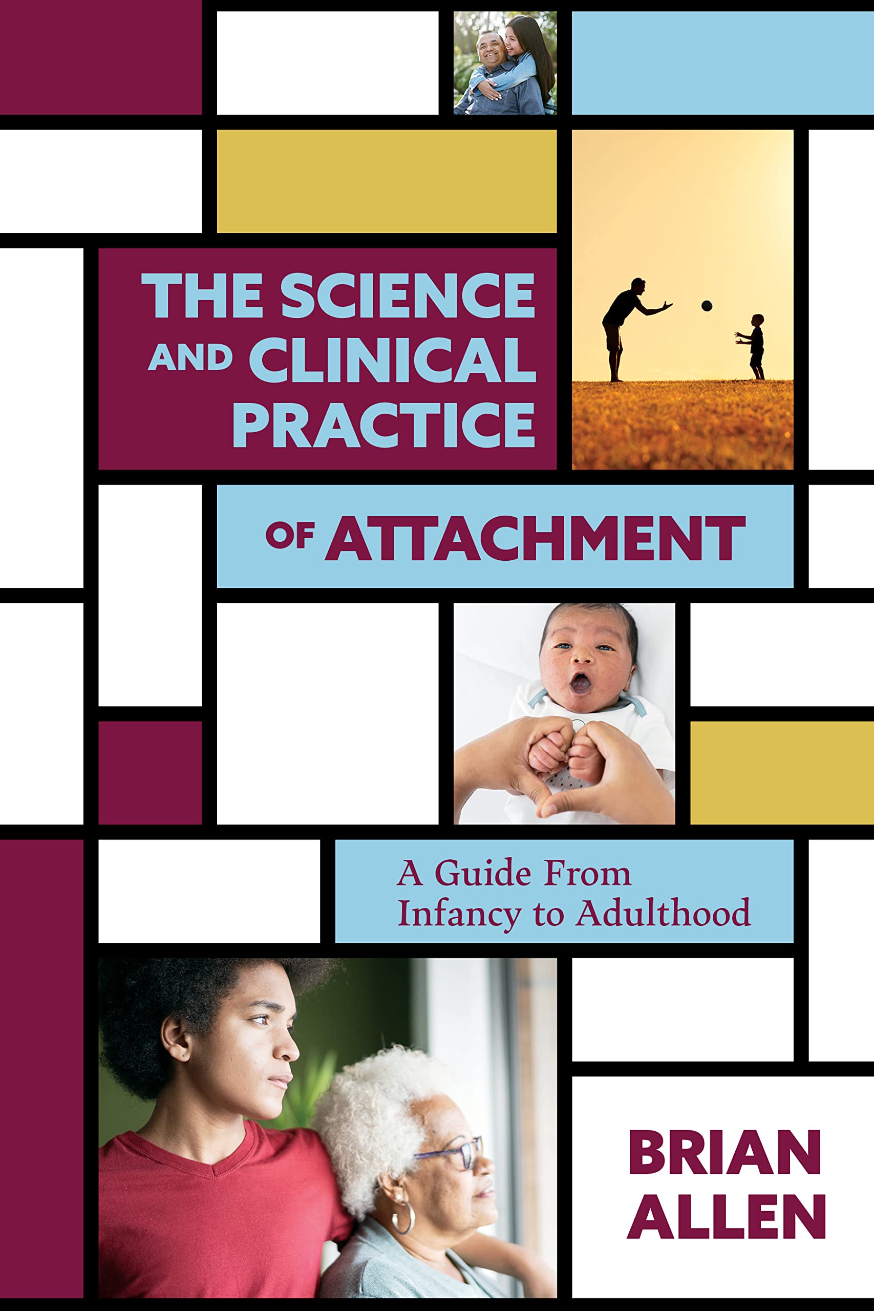Cover of The Science and Clinical Practice of Attachment Theory: A Guide From Infancy to Adulthood